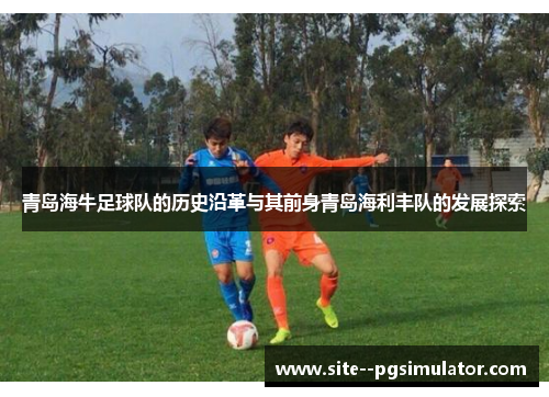 青岛海牛足球队的历史沿革与其前身青岛海利丰队的发展探索