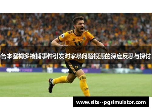 鲁本塞梅多被捕事件引发对家暴问题根源的深度反思与探讨