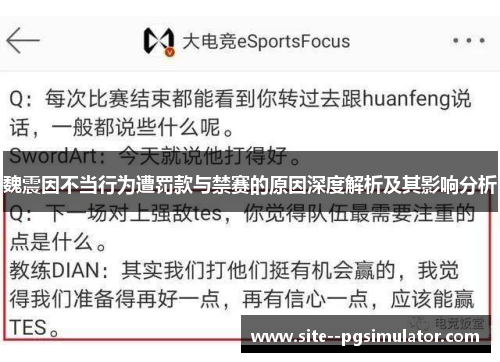 魏震因不当行为遭罚款与禁赛的原因深度解析及其影响分析
