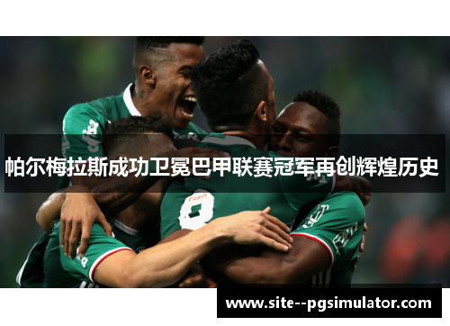 帕尔梅拉斯成功卫冕巴甲联赛冠军再创辉煌历史 