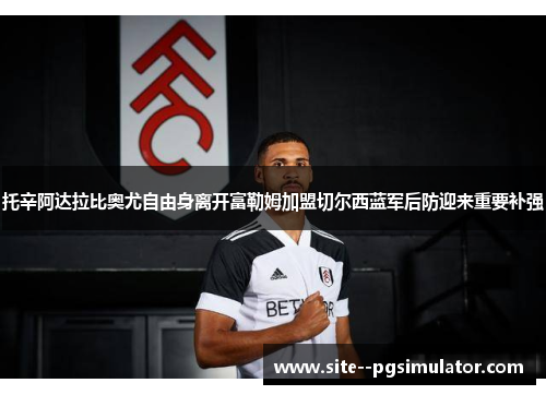 托辛阿达拉比奥尤自由身离开富勒姆加盟切尔西蓝军后防迎来重要补强